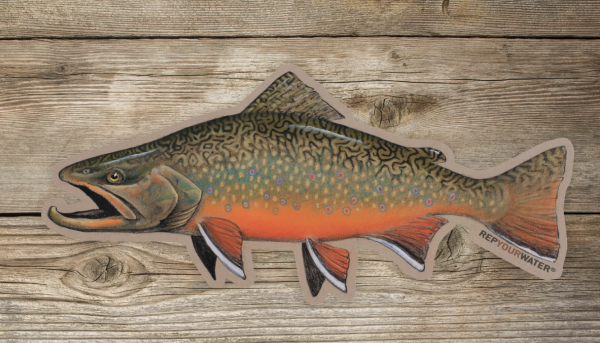 Rep Your Water Artist Reserve Fall Brookie Sticker